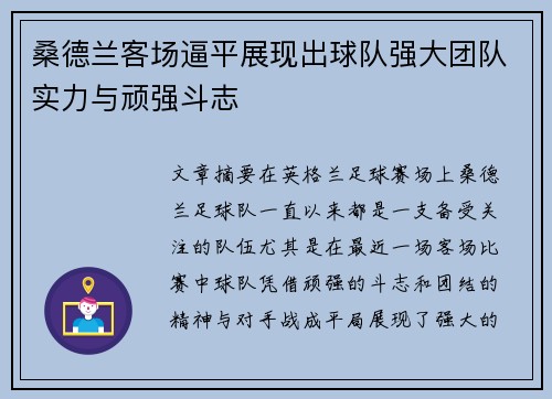 桑德兰客场逼平展现出球队强大团队实力与顽强斗志