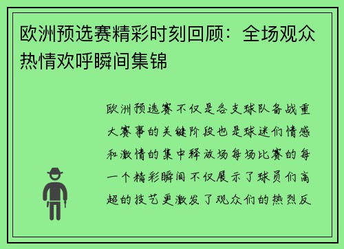 欧洲预选赛精彩时刻回顾：全场观众热情欢呼瞬间集锦