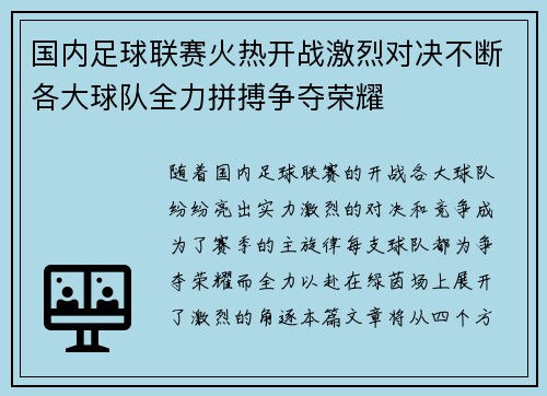 国内足球联赛火热开战激烈对决不断各大球队全力拼搏争夺荣耀